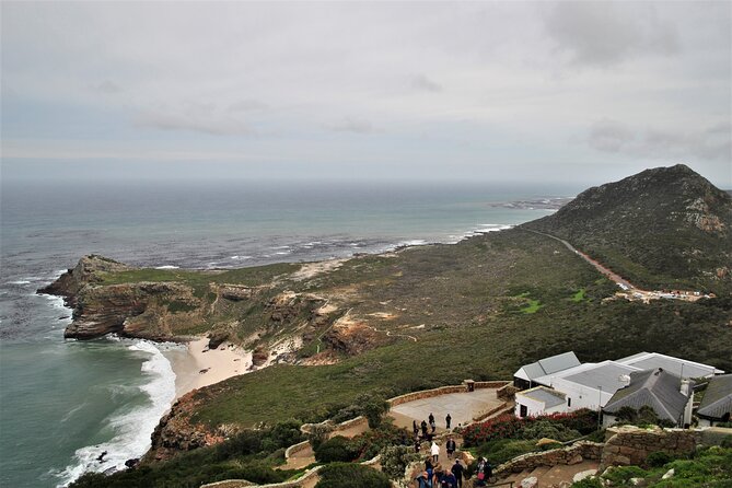 Peninsula Tour - Hout Bay Harbor: Markets, and the Seal Island Idea