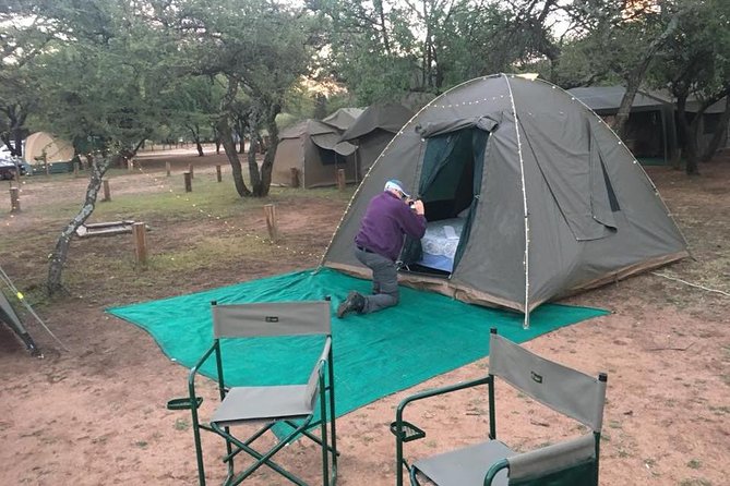Pilanesberg camping Safari from Johannesburg - Wildlife time: how the schedule improves your odds