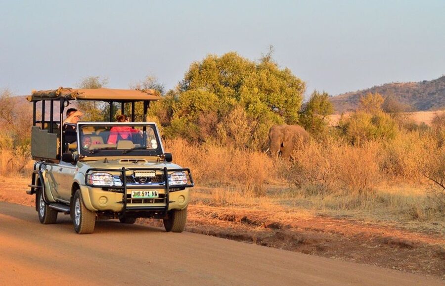 Pilanesberg Full-Day Shared Safari with Sun City Visit - Why Pilanesberg plus Sun City works as one tight day