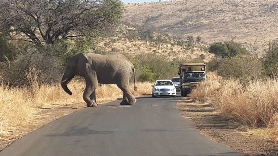 Pilanesberg Full-Day Shared Safari with Sun City Visit - The early road from Johannesburg: Magaliesberg Mountains and Hartbeespoort Dam
