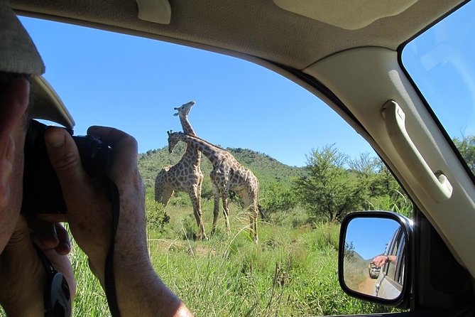 Pilanesberg Game Reserve 6 Hour Sunrise Safari from Johannesburg or Pretoria - Why Pilanesberg Sunrise is such a smart use of a day