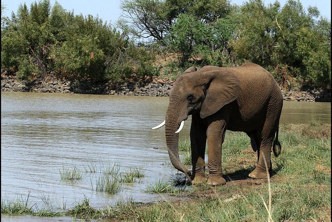 Pilanesberg Game Reserve 6 Hour Sunrise Safari from Johannesburg or Pretoria - The drive beyond the park: Magaliesberg country on the way