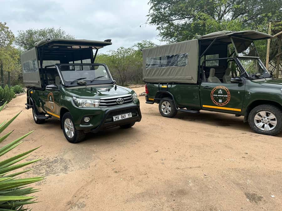 Pilanesberg Morning or Afternoon 3 Hour Game Drive - Starting the drive: your guide’s job is to make time count