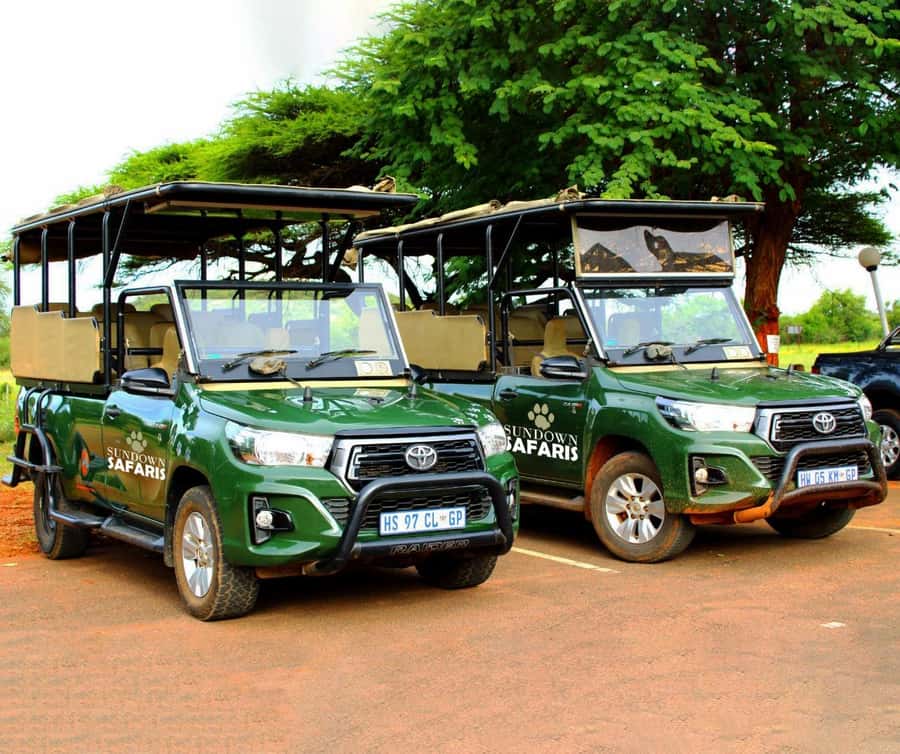 Pilanesberg Morning or Afternoon 3 Hour Game Drive - Big Five odds, plus birds and the rest of the bushveld cast