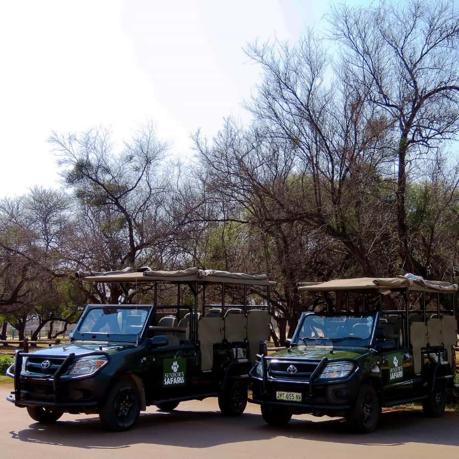 Pilanesberg Morning or Afternoon 3 Hour Game Drive - Wine tasting mention: confirm what’s actually included