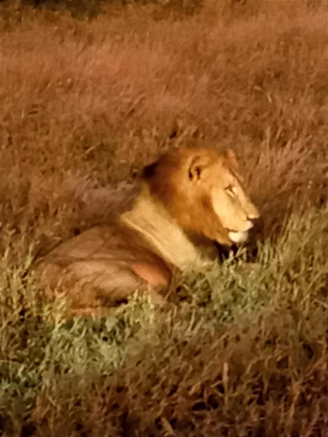 Pilanesberg National Park - Key highlights you will care about