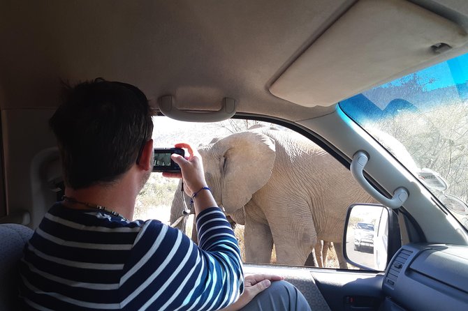 Pilanesberg National Park Day Tour from Pretoria, every SATURDAY - Who This Safari Day Tour Fits Best (and Who Should Rethink It)