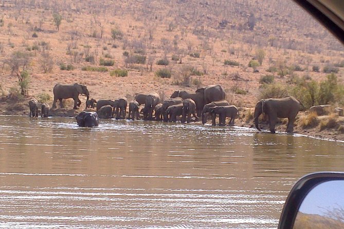 Pilanesberg National Park Day Tour from Pretoria, every SATURDAY - The Big Five Safari Plan That Actually Fits in 10 Hours