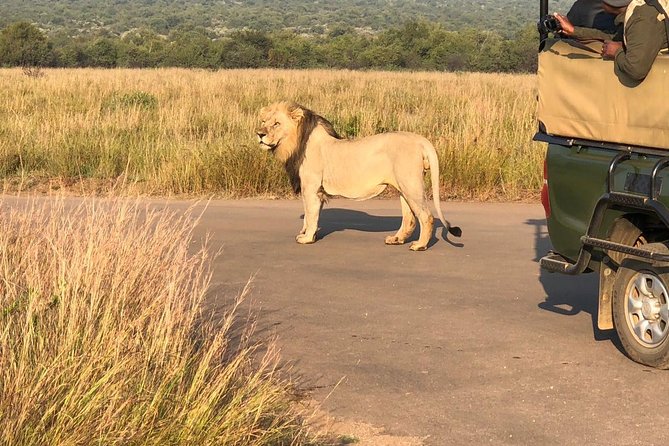 Pilanesberg National Park Full Day Safari From Johannesburg - Early Morning Departure From Johannesburg