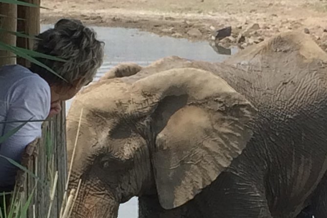 Pilanesberg National Park Safari in Open Vehicle from Johannesburg - The main event: a 3-hour open vehicle safari