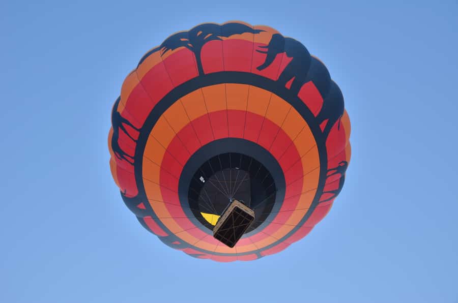 Pilanesberg National Park/Sun City Hot Air Balloon Safari - The balloon flight over Pilanesberg, from briefing to landing bubbles