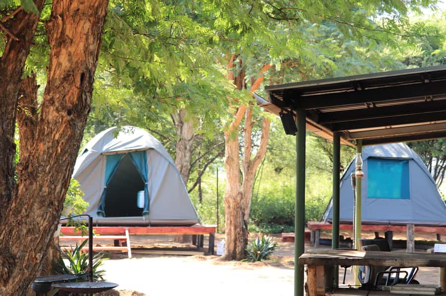 Pilanesberg: Two-Day Camping Adventure from Johannesburg - Key moments that make this safari feel like a bargain