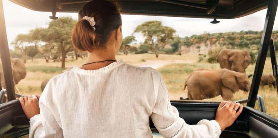 Pilanesberg: Two-Day Camping Adventure from Johannesburg - Pilanesberg: a fast route to real safari country