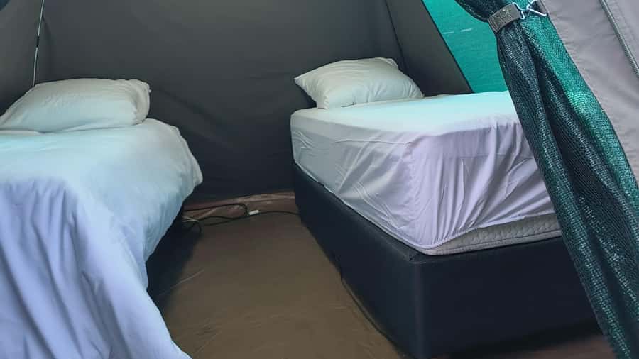 Pilanesberg: Two-Day Camping Adventure from Johannesburg - Day two: the early push, the mid-day choice, and the short last drive