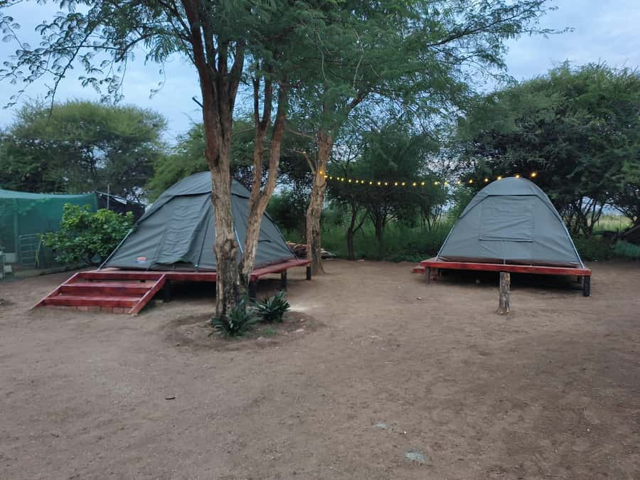 Pilanesberg: Two-Day Camping Adventure from Johannesburg - Who should book this Pilanesberg camping safari