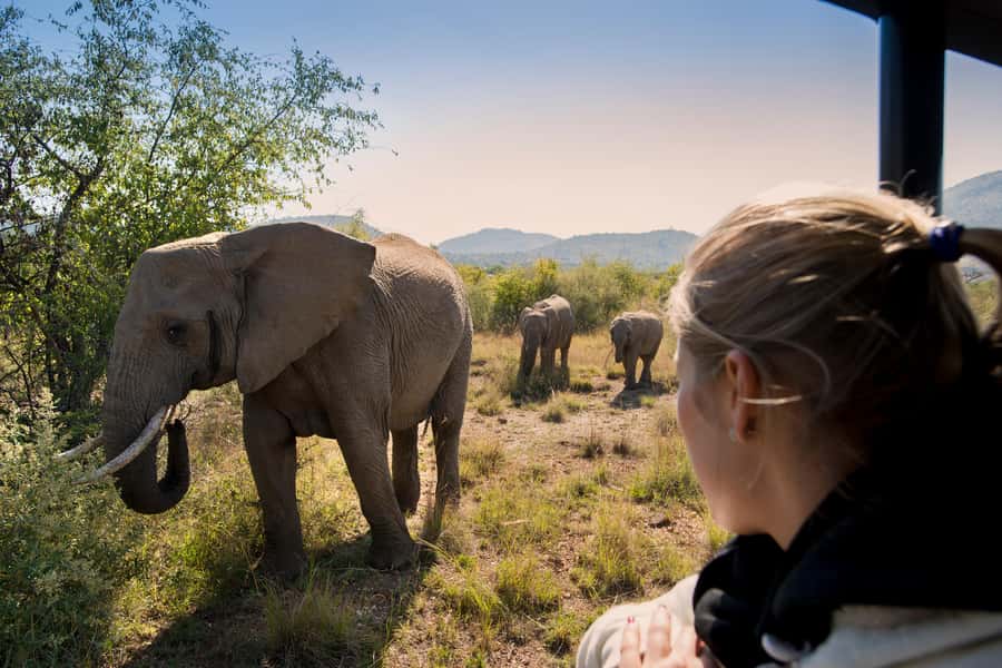 Pilanesberg: Two-Day Camping Adventure from Johannesburg - Leaving Johannesburg early, arriving ready to drive