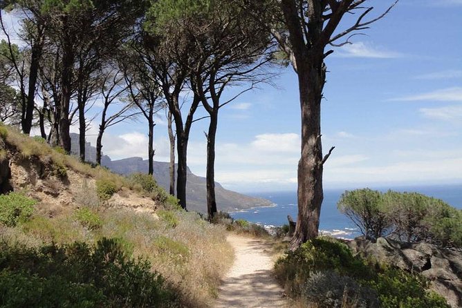 Pipetrack Hike for the whole family on Table Mountain - PRIVATE - Key Things That Make This Private Pipetrack Walk Worth It