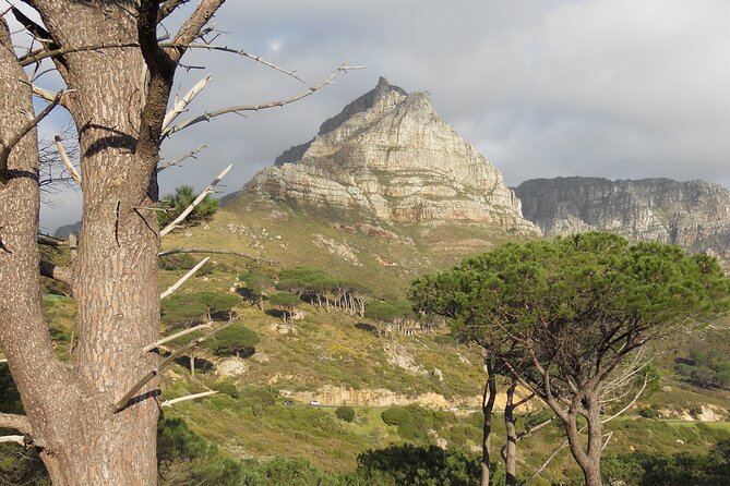 Pipetrack Hike for the whole family on Table Mountain - PRIVATE - Guide Lynett and Why the Tour Feels Personal