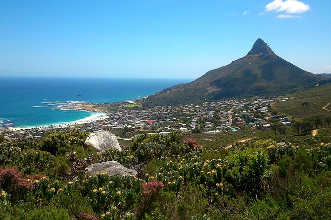 Pipetrack Hike for the whole family on Table Mountain - PRIVATE - What a Private 2 to 3 Hour Walk Feels Like for Families