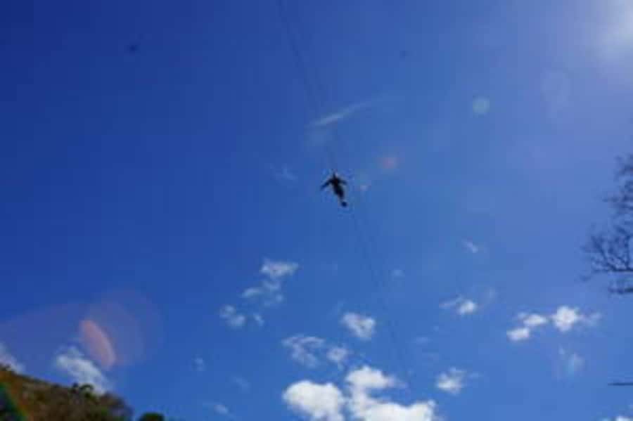 Plettenberg: 2-Hour Zipline Tour - The Course Experience: 6 Ziplines Over Forests, Cliffs, and Ocean