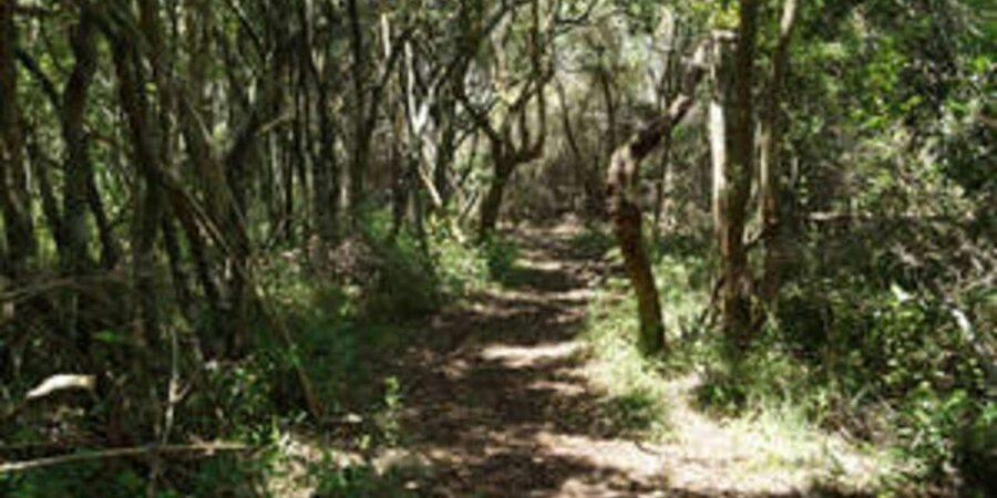 Plettenberg: 2-Hour Zipline Tour - Timing, Group Size, and How 2 Hours Usually Feels