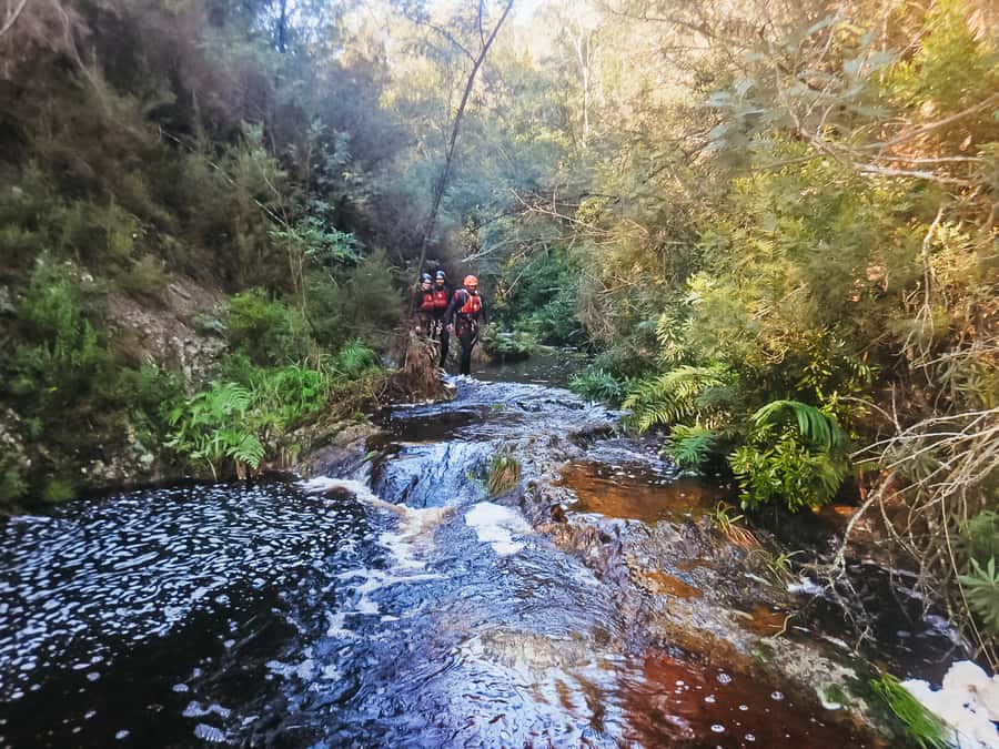 Plettenberg Bay: Canyoning Trip - Key highlights you will feel from the start