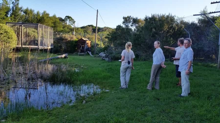 Plettenberg Bay: Cats in Conservation Full Day Tour - Getting There and What Happens Before You Even See a Cat