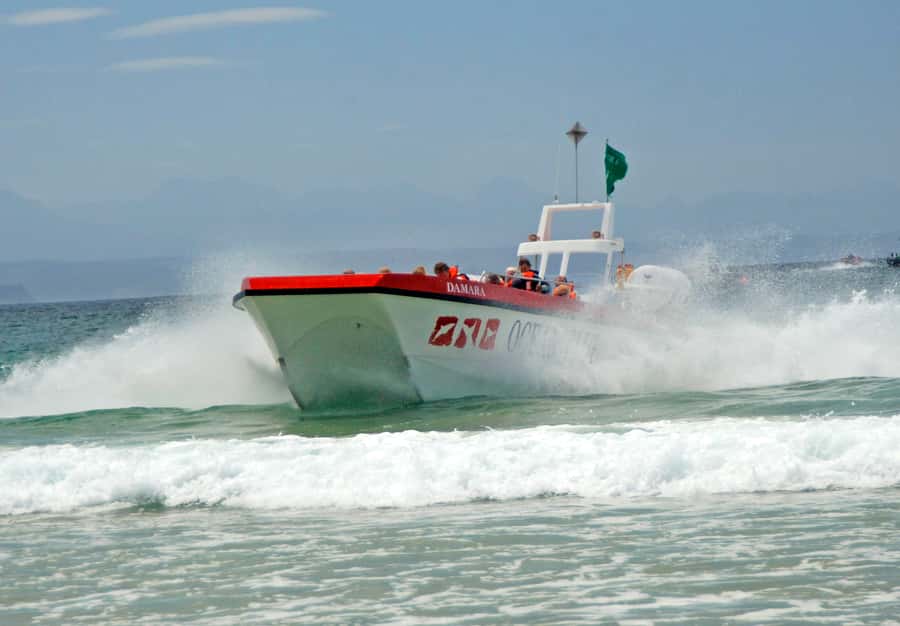 Plettenberg Bay: Dolphin and Marine Boat Tour - Arch Rock and the cross-bay moments