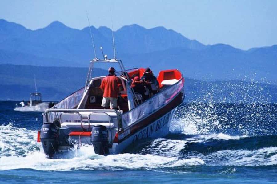 Plettenberg Bay: Dolphin and Marine Boat Tour - The opening route: Keurbooms Beach to Arch Rock