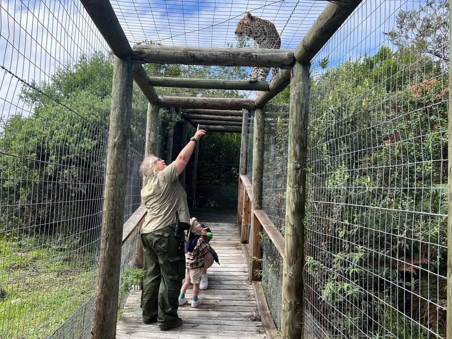 Plettenberg Bay: EcoKidz Family Wildlife Tour - Getting started: the safety briefing and rain-ready plan