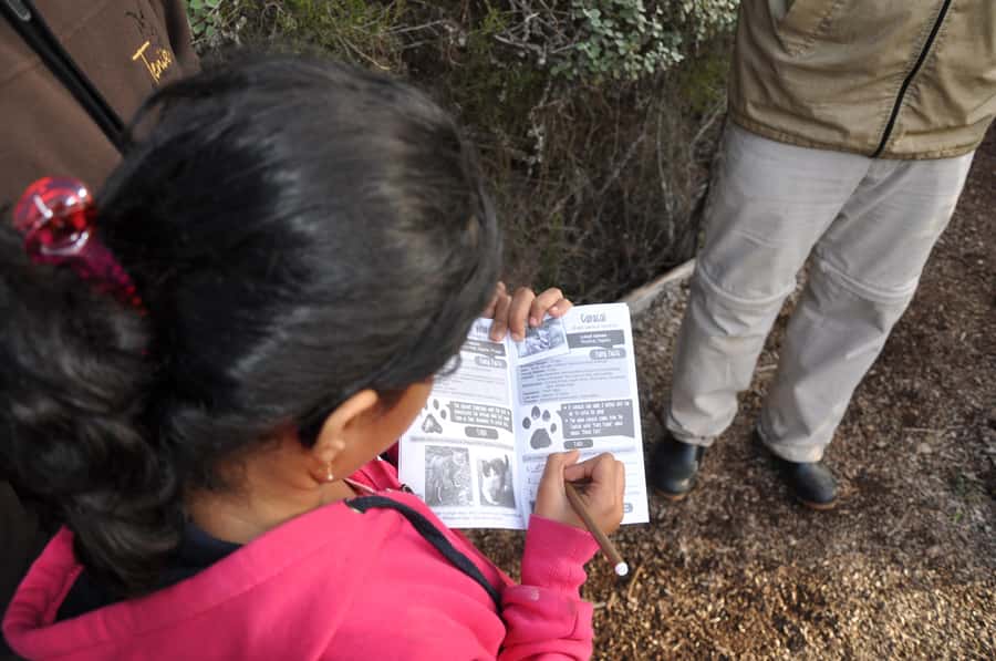 Plettenberg Bay: EcoKidz Family Wildlife Tour - Price and value: what $28 buys your family
