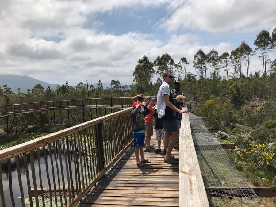 Plettenberg Bay: EcoKidz Family Wildlife Tour - Walking the Meerkat Meander and meeting the owls
