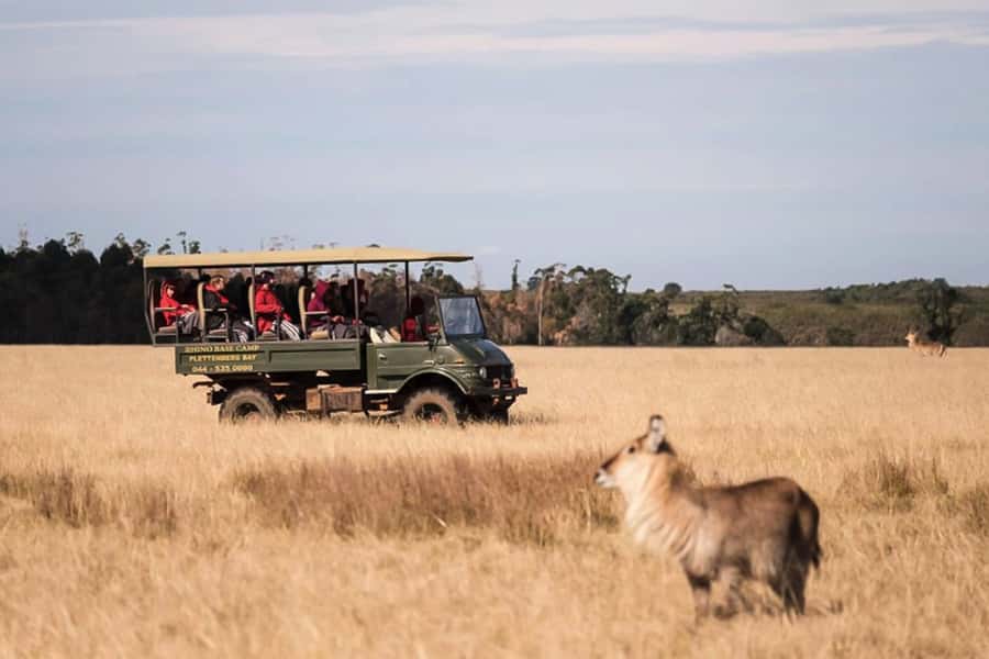 Plettenberg Bay Game Reserve: 2-Hour Game Drive - Plettenberg Bay Game Reserve in 2 hours, the smart way to do safari time