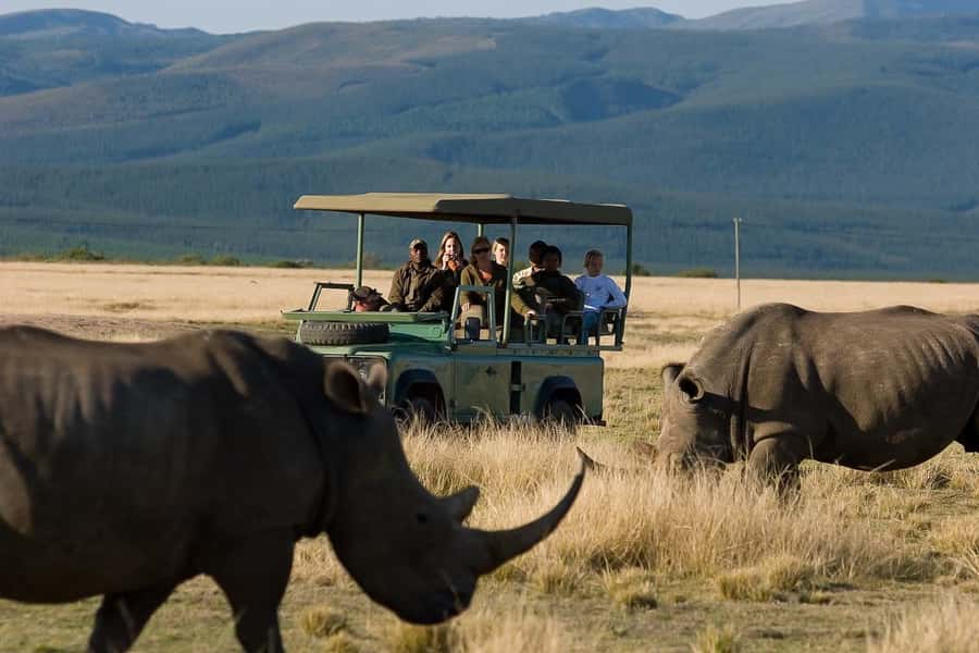 Plettenberg Bay Game Reserve: 2-Hour Game Drive - Ranger-led wildlife spotting that turns sightings into understanding