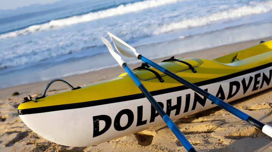 Plettenberg Bay: Guided Sea Kayak Tour - Safety briefing first, then a route that changes with the sea