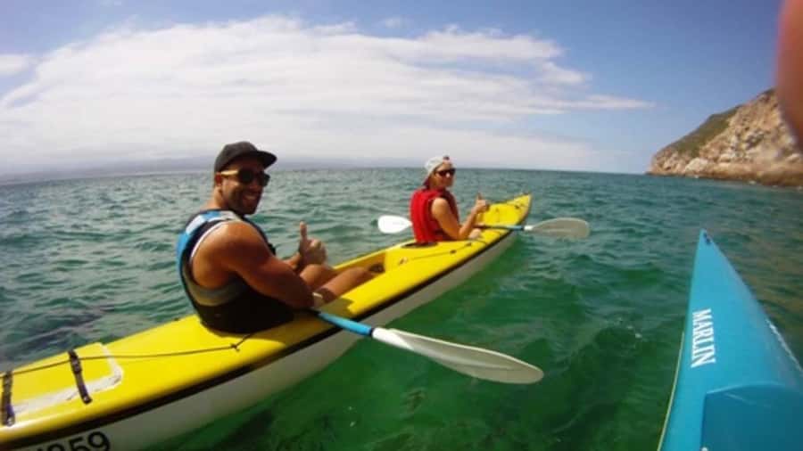 Plettenberg Bay: Guided Sea Kayak Tour - What the 2 hours feel like on the water, step by step