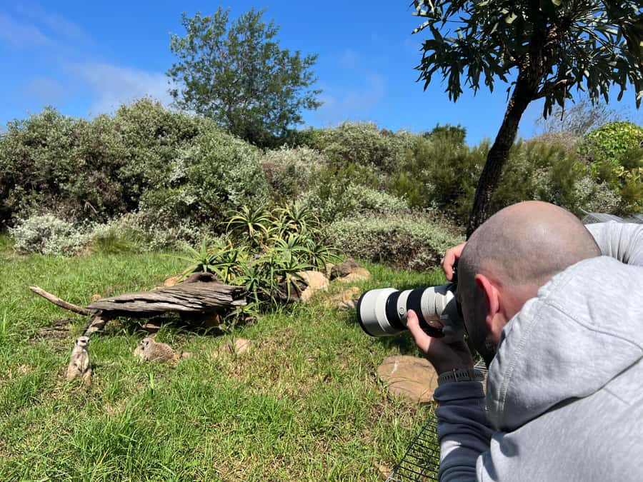 Plettenberg Bay: Private Guided Wildlife Photography Tour - Key highlights worth planning around
