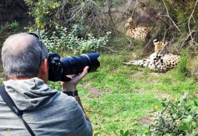 Private Guided Wildlife Photography Tour