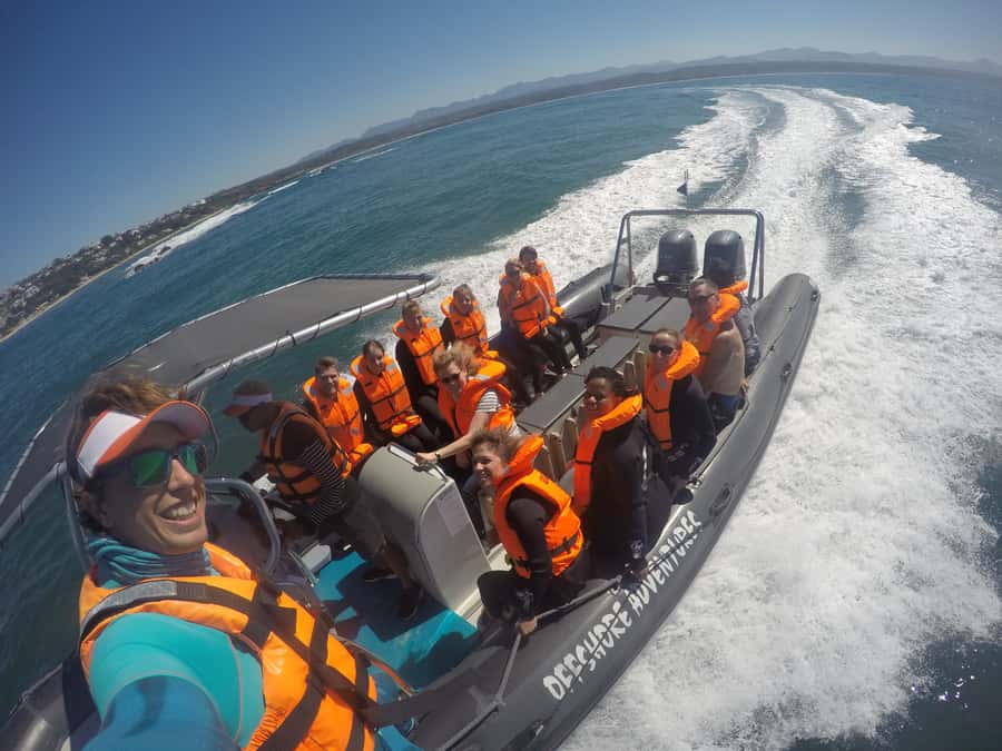 Plettenberg Bay: Seal Colony Viewing Excursion - Who should book this seal colony excursion (and who should consider something else)