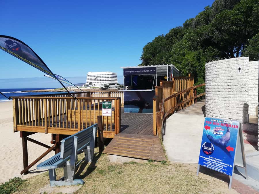 Plettenberg Bay: Seal Swimming Experience - Key points to know before you go