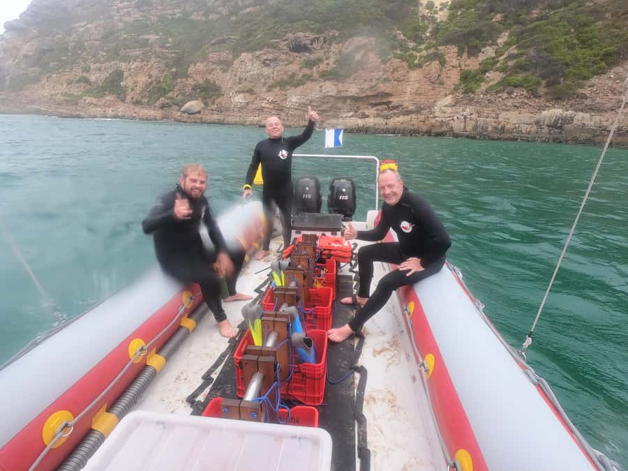 Plettenberg Bay: Seal Swimming Experience - Getting started at Hobie Beach (and what to wear)