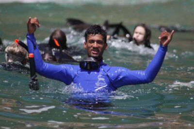 Seal Swimming Experience