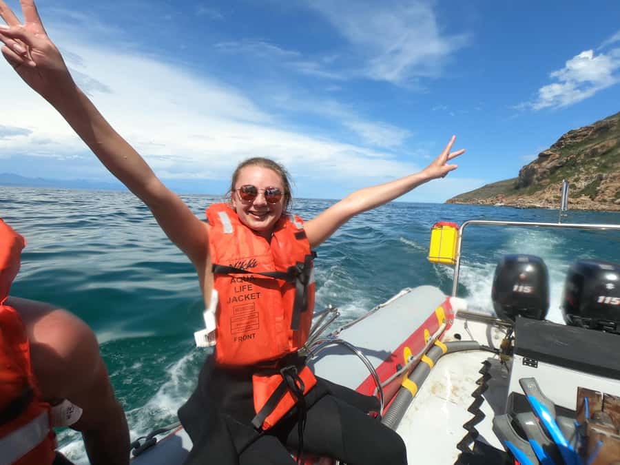 Plettenberg Bay: Seal Swimming Experience - What’s included for $61, and where the value really comes from