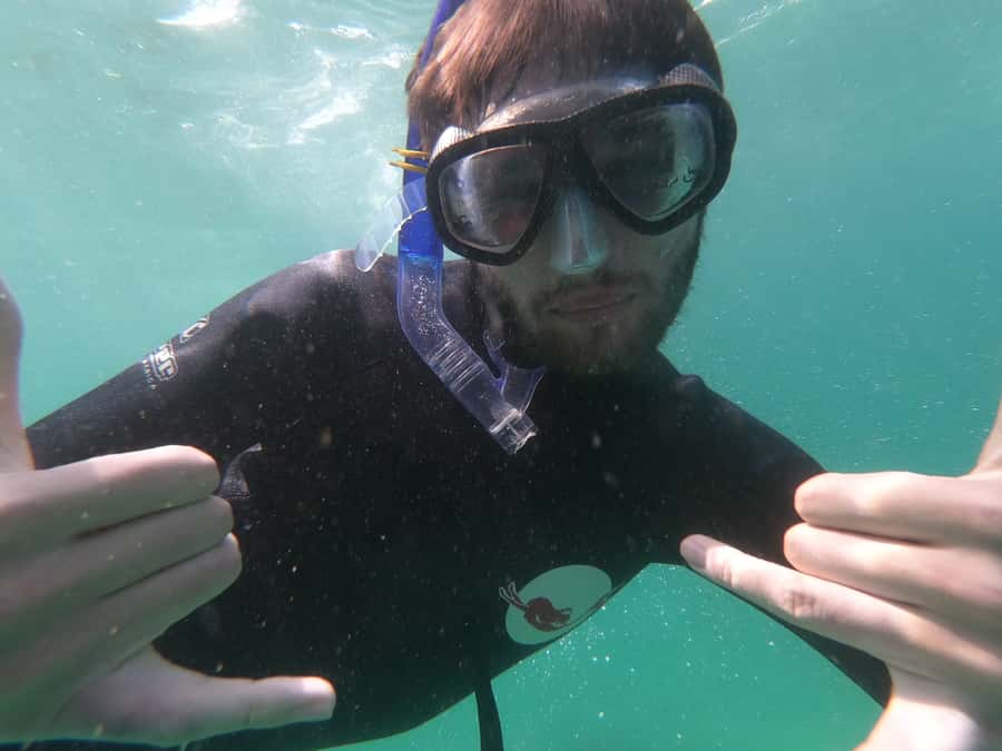 Plettenberg Bay: Seal Swimming Experience - Facilities, photos, and your post-swim reality check