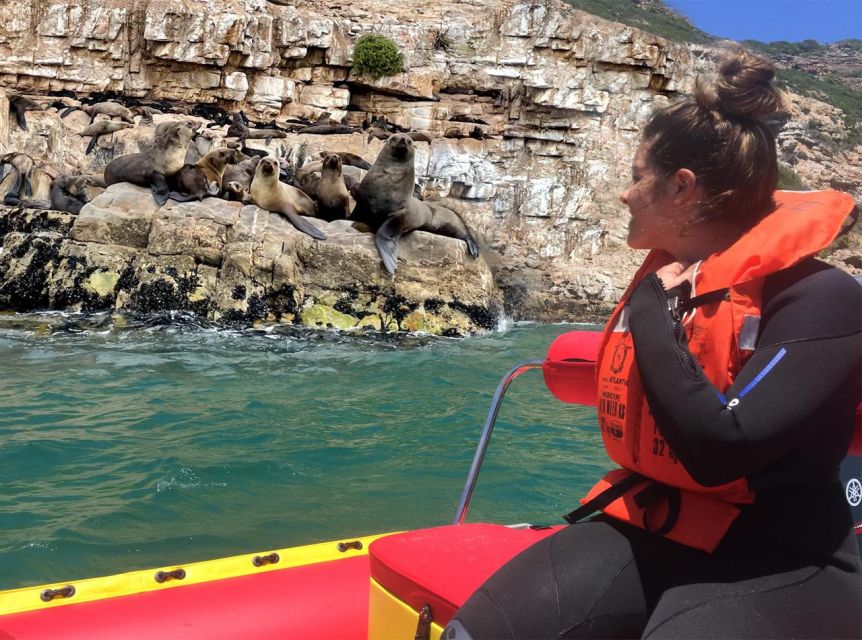Plettenberg Bay: Seal Viewing Boat Trip - Key things to know before you go