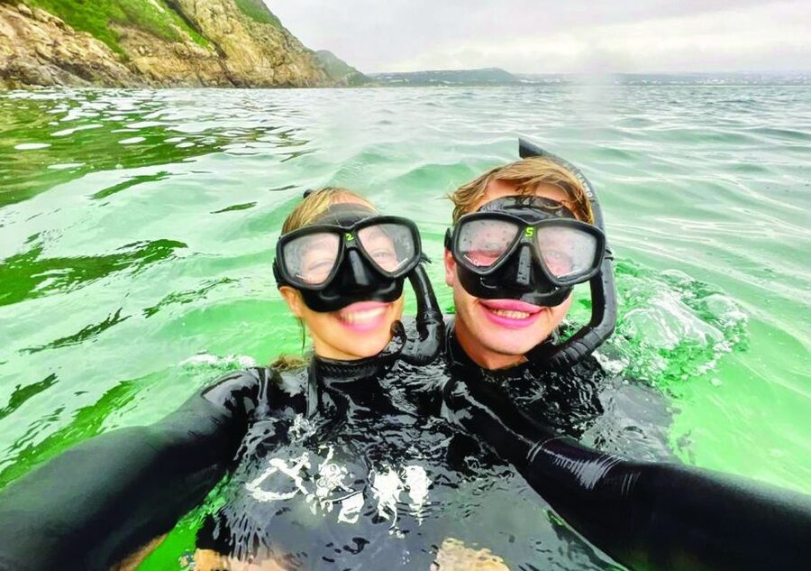 Plettenberg Bay: Seal Viewing Boat Trip - Wildlife beyond seals: birds and the occasional big marine moment