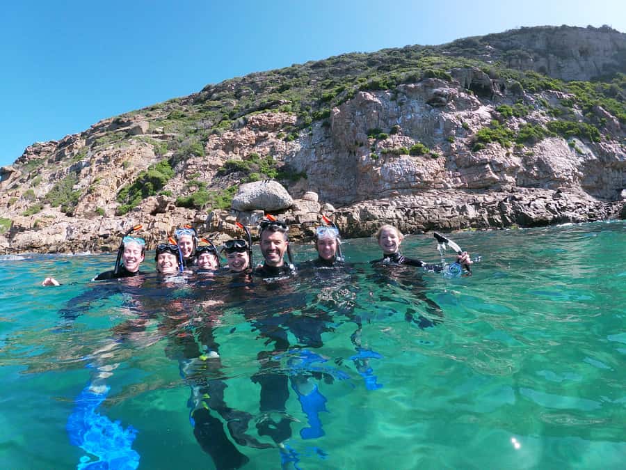 Plettenberg Bay: Swim with Seals - Heading to Central Beach: Offshore Adventures and Your Pre-Swim Setup