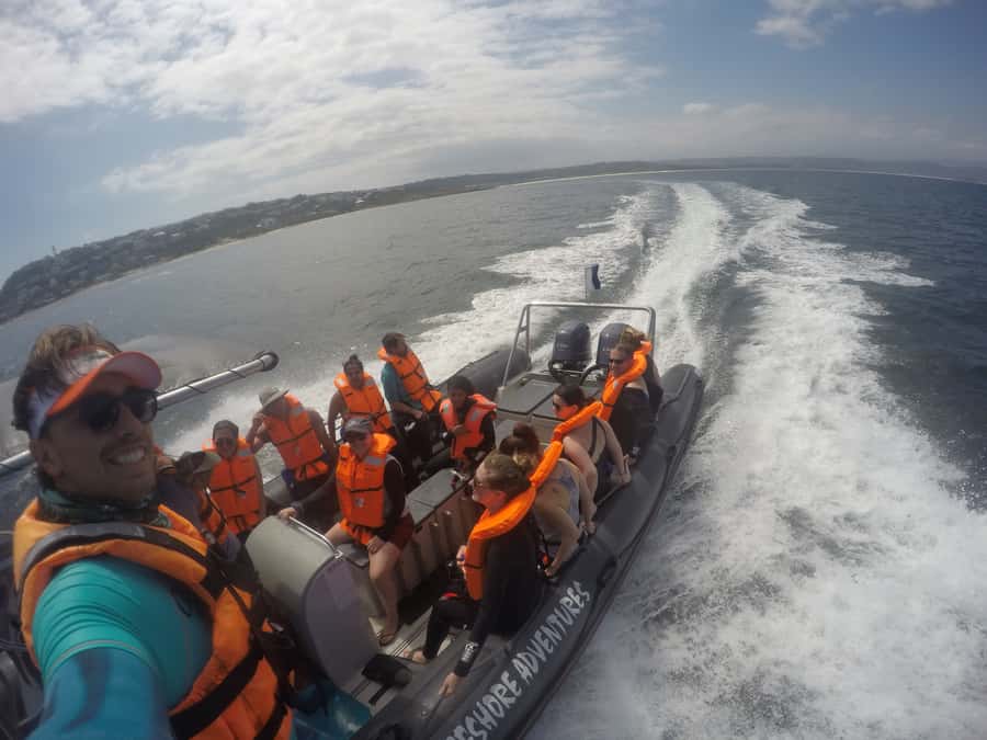 Plettenberg Bay: Swim with Seals - The Photos: Included Memories, Not an Afterthought
