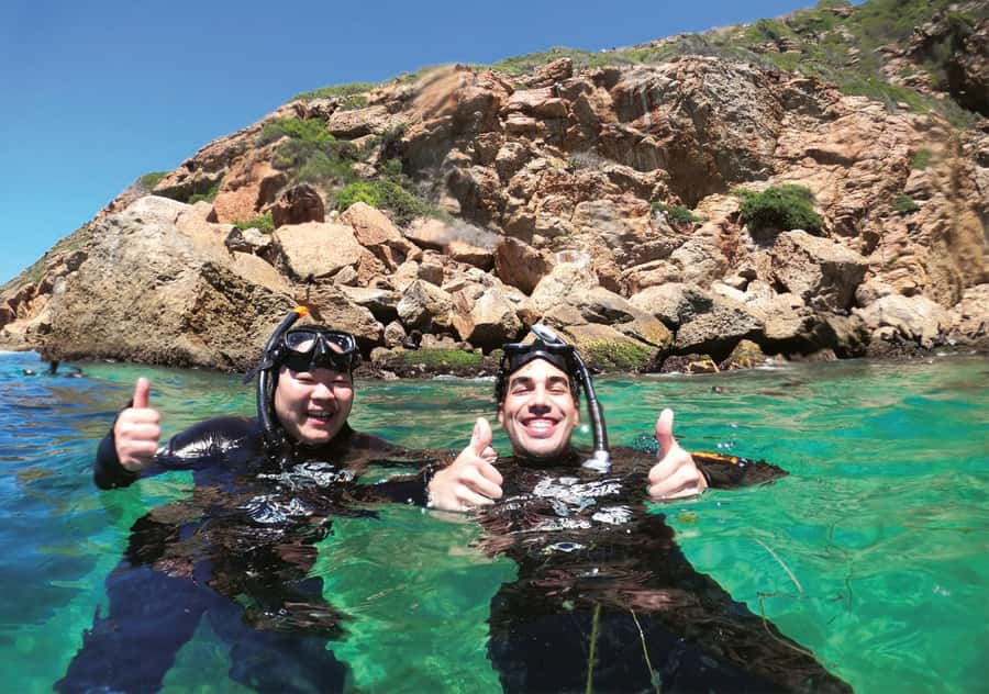 Plettenberg Bay: Swim with the Seals - Should you book the ProDive Plettenberg Bay Swim with Seals?
