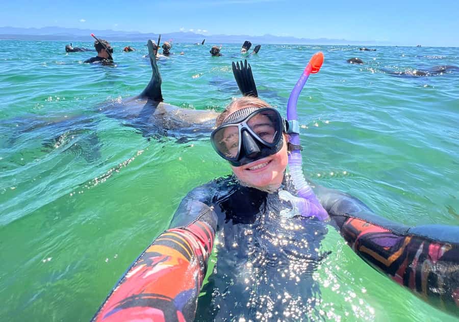 Plettenberg Bay: Swim with the Seals - From Beacon Island to Robberg, the ride starts the fun